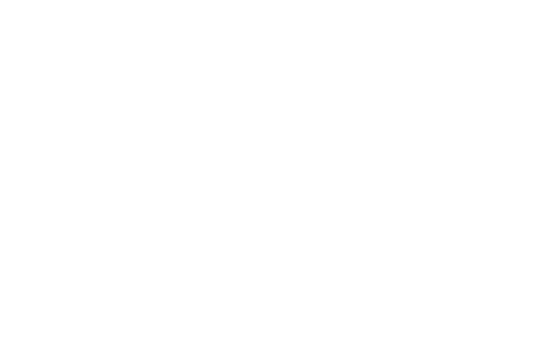 Logo Sieber Stay 3